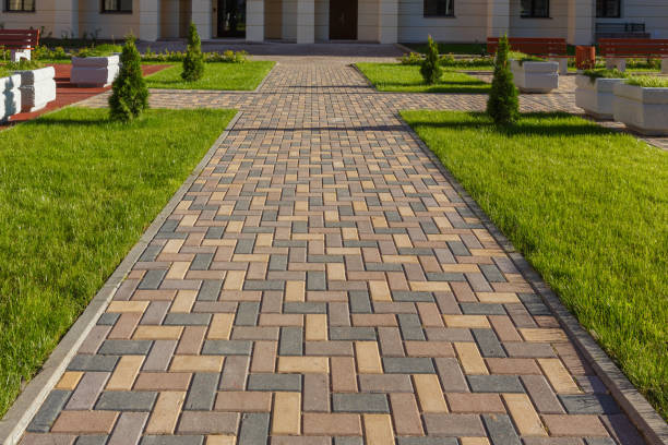 Reasons to Select Us for Your Driveway Paving Requirements in Camden, SC